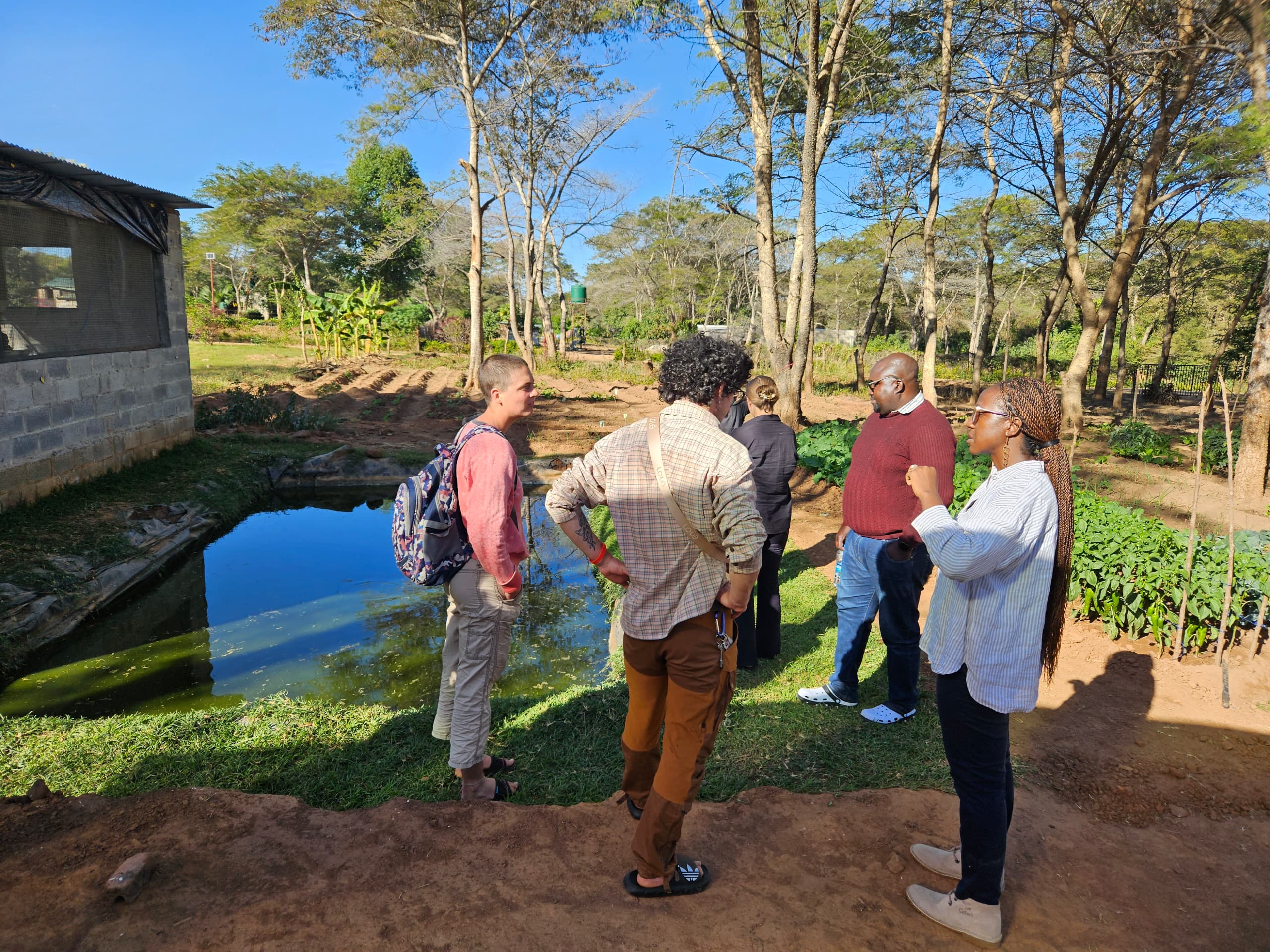 Outgrower and training programmes